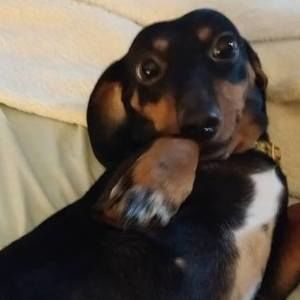 Meet your Posher, Angela